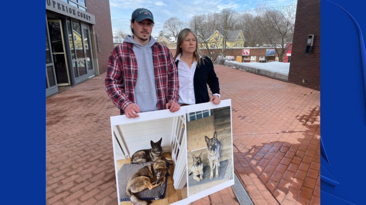 Hunter Accused of Killing 2 Pet Dogs in Connecticut Appears in Court ...