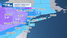 friday snow projections