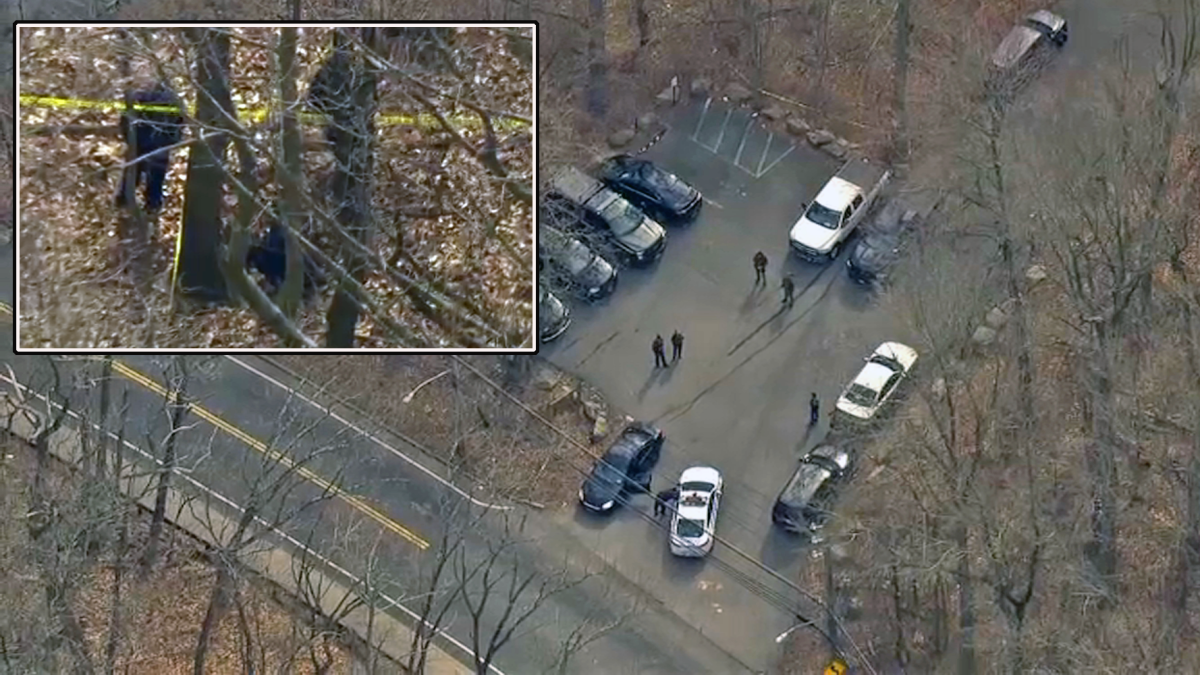 Mystery of Human Hand Found in Staten Island Forest Solved by Police