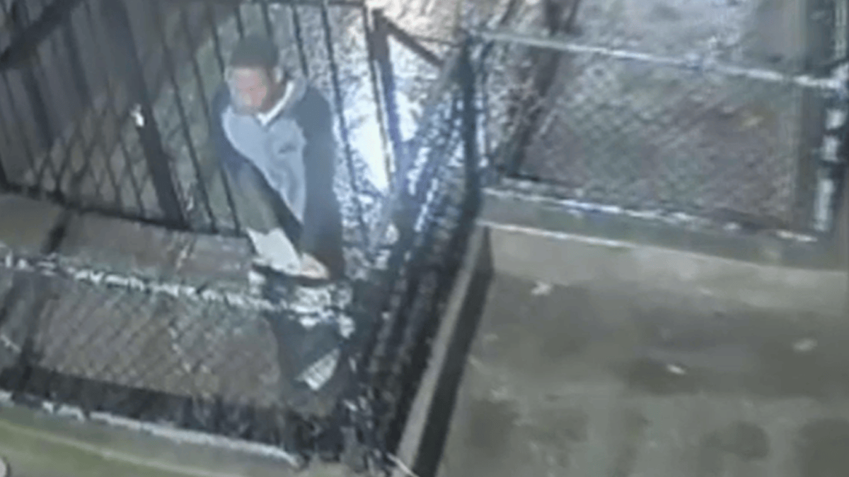 Upper West Side Rape Suspect on the Run – NBC New York