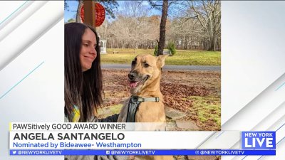 PAWSitively Good Honoree: Angela Santangelo
