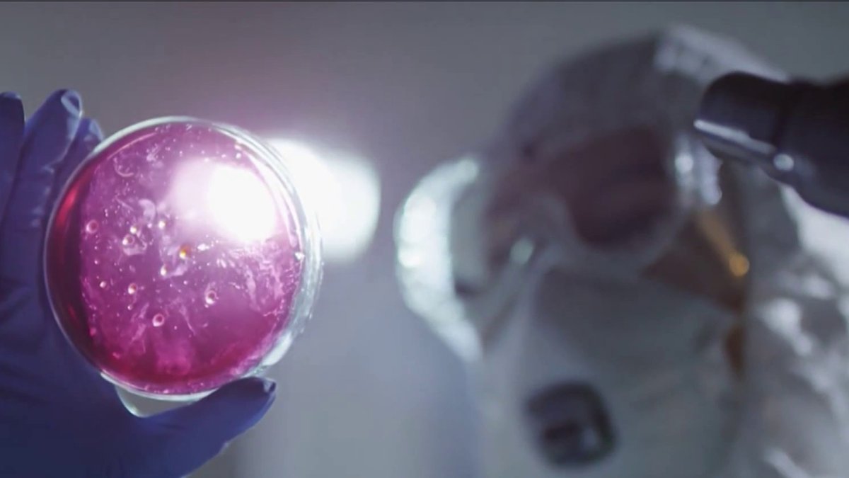 This Fungal Infection Is Spreading Due Climate Change, Researchers Say