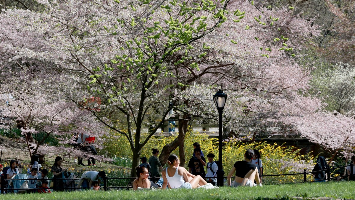 More NYC Heat Records May Break; NJ Wildfires Burn – NBC New York - Vimarsana News