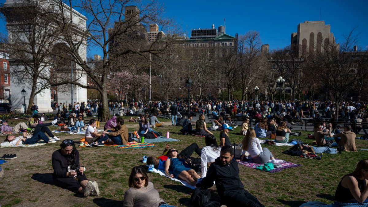 NYC Laws Parks, Schools, Pets Impacted by Council Hearings NBC New York