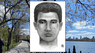 Sketch of Central Park perp released by police.