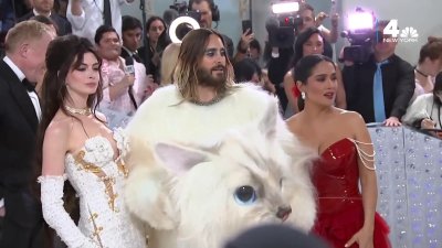 Jared Leto Walks Met Gala Carpet in Giant Cat Costume