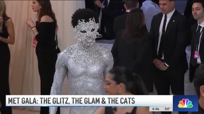 Met Gala: The Glitz, the Glam and the Cats