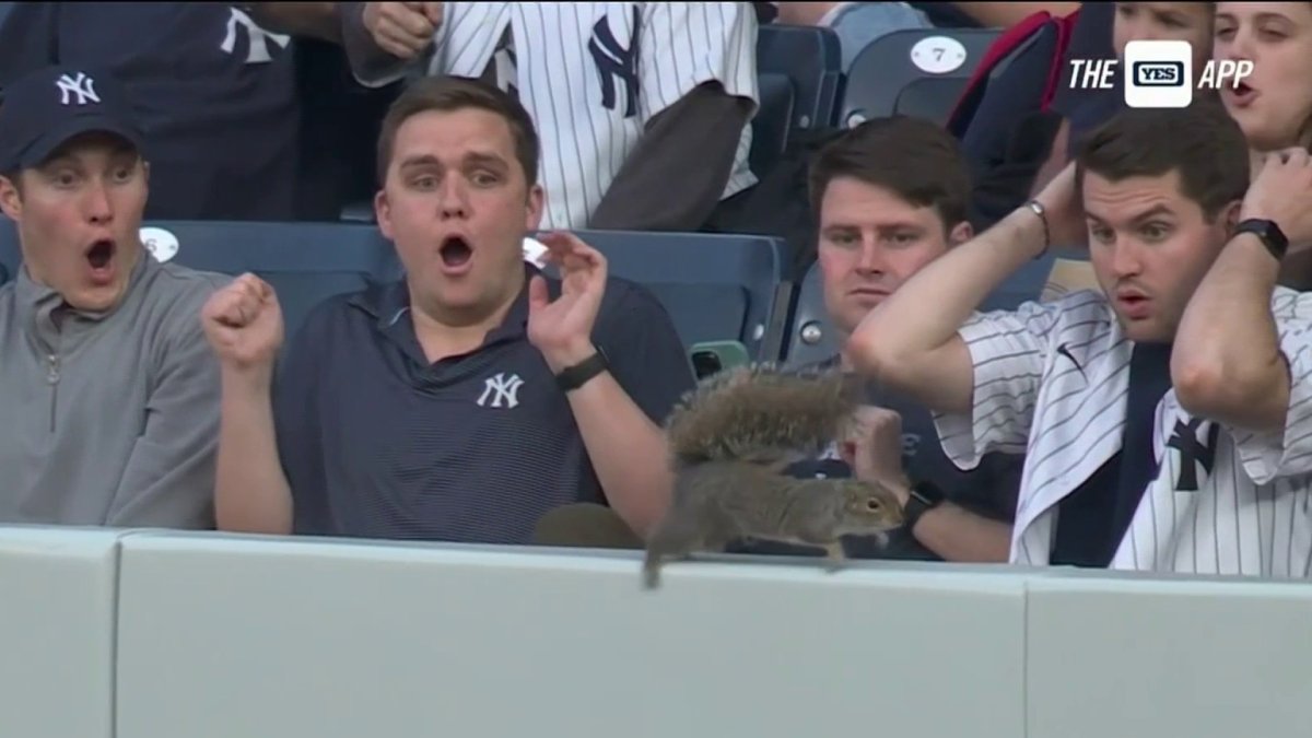 Dodgers fans took over Yankee Stadium last night - NBC Sports