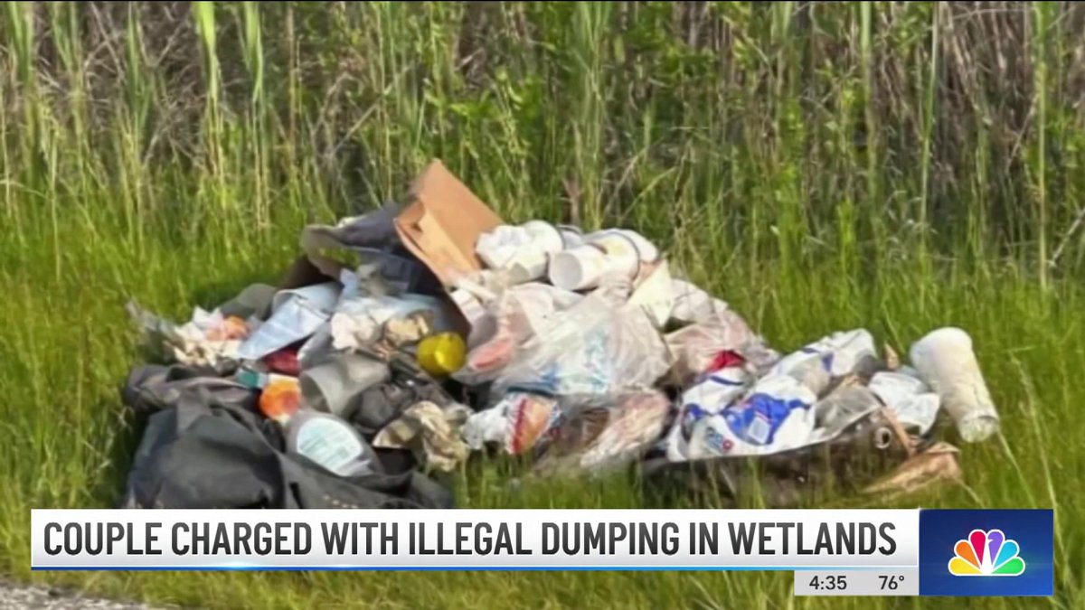 Couple Charged With Illegal Dumping in Protected Long Island Wetlands ...