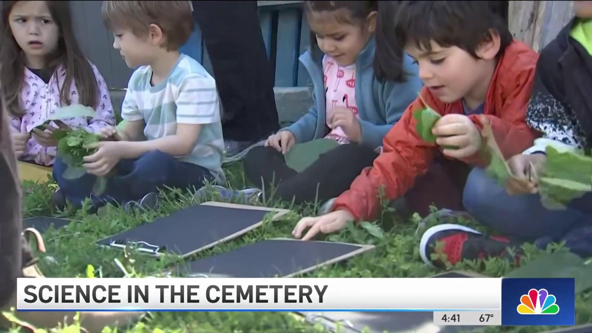 Teaching NYC Elementary School Kids Science in the Cemetery – NBC New York