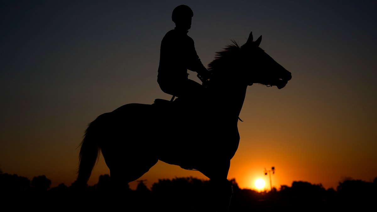 2023 Preakness Day Arrives With Horse Racing in Spotlight, Preakness Day Arrives With Horse
