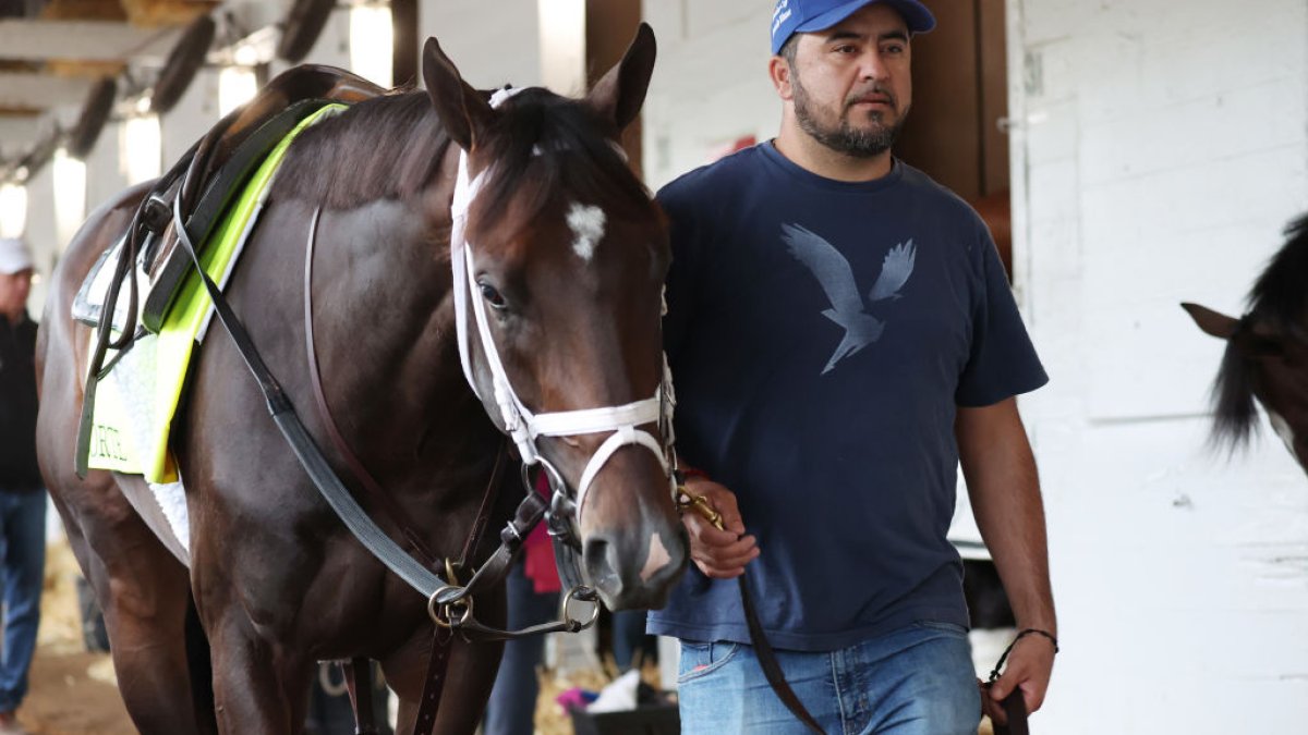 Kentucky Derby Favorite Forte Scratched From Race NBC New York