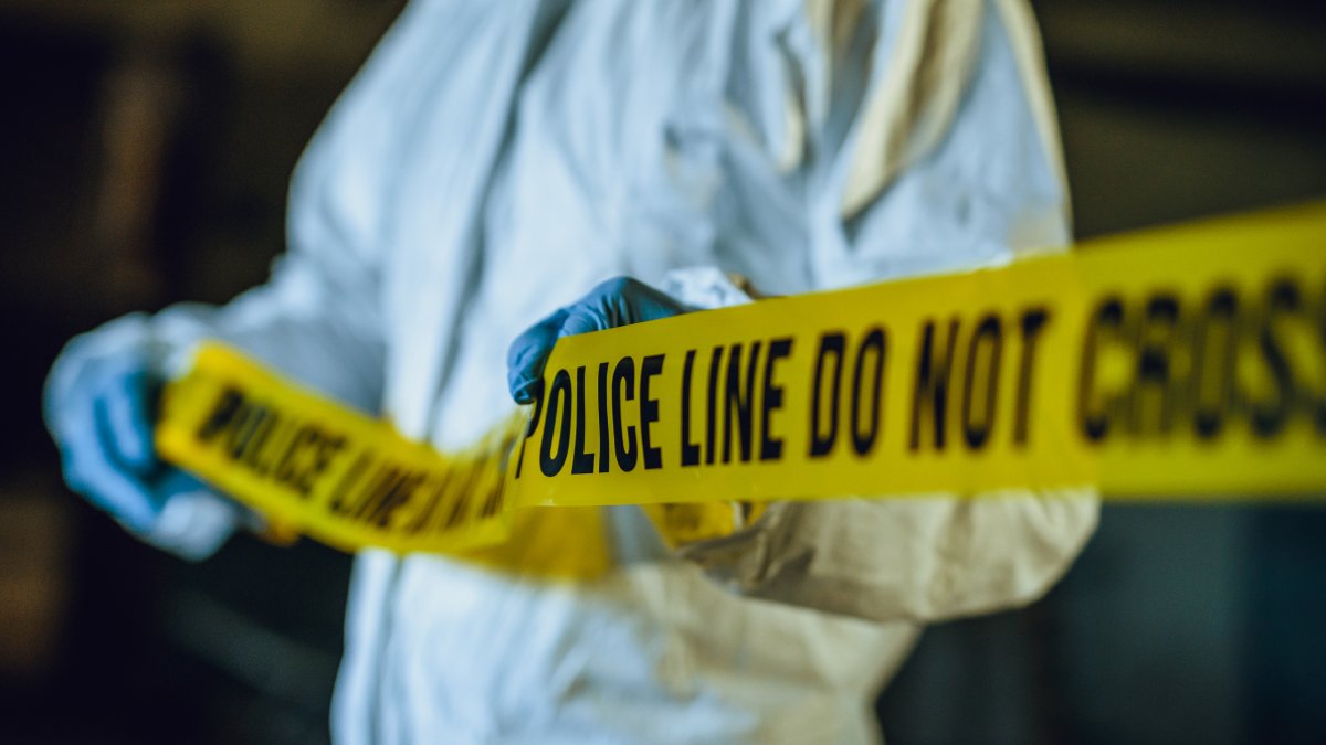 Compton man killed in pit bull attack – NBC New York - Vimarsana News