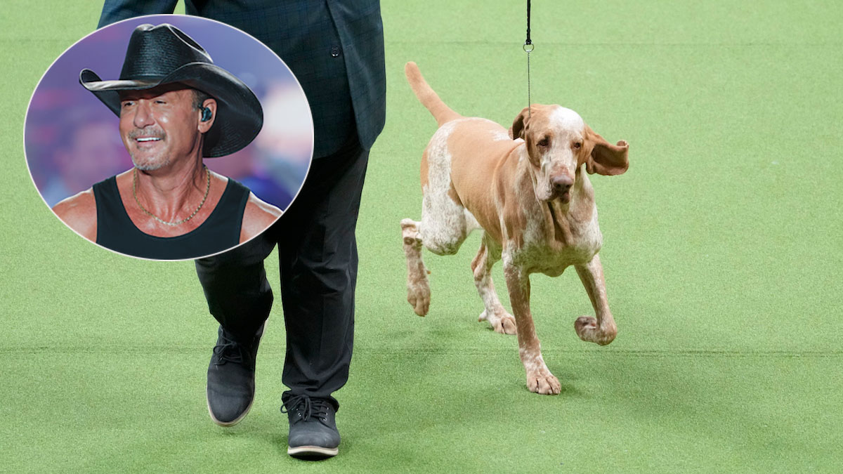 Dog co-owned by Tim McGraw wins new breed at show