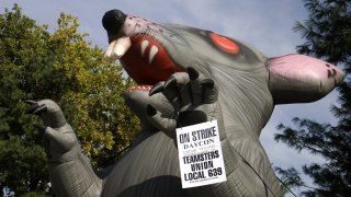 'Scabby' the giant inflatable rat is a well-known symbol used by protesters in the DC area.