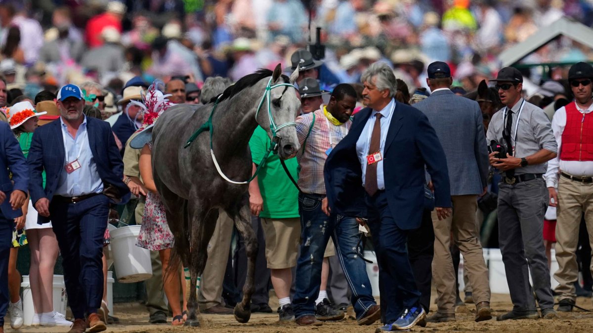 Triple Crown Moving to Preakness Following Horse Deaths at Churchill