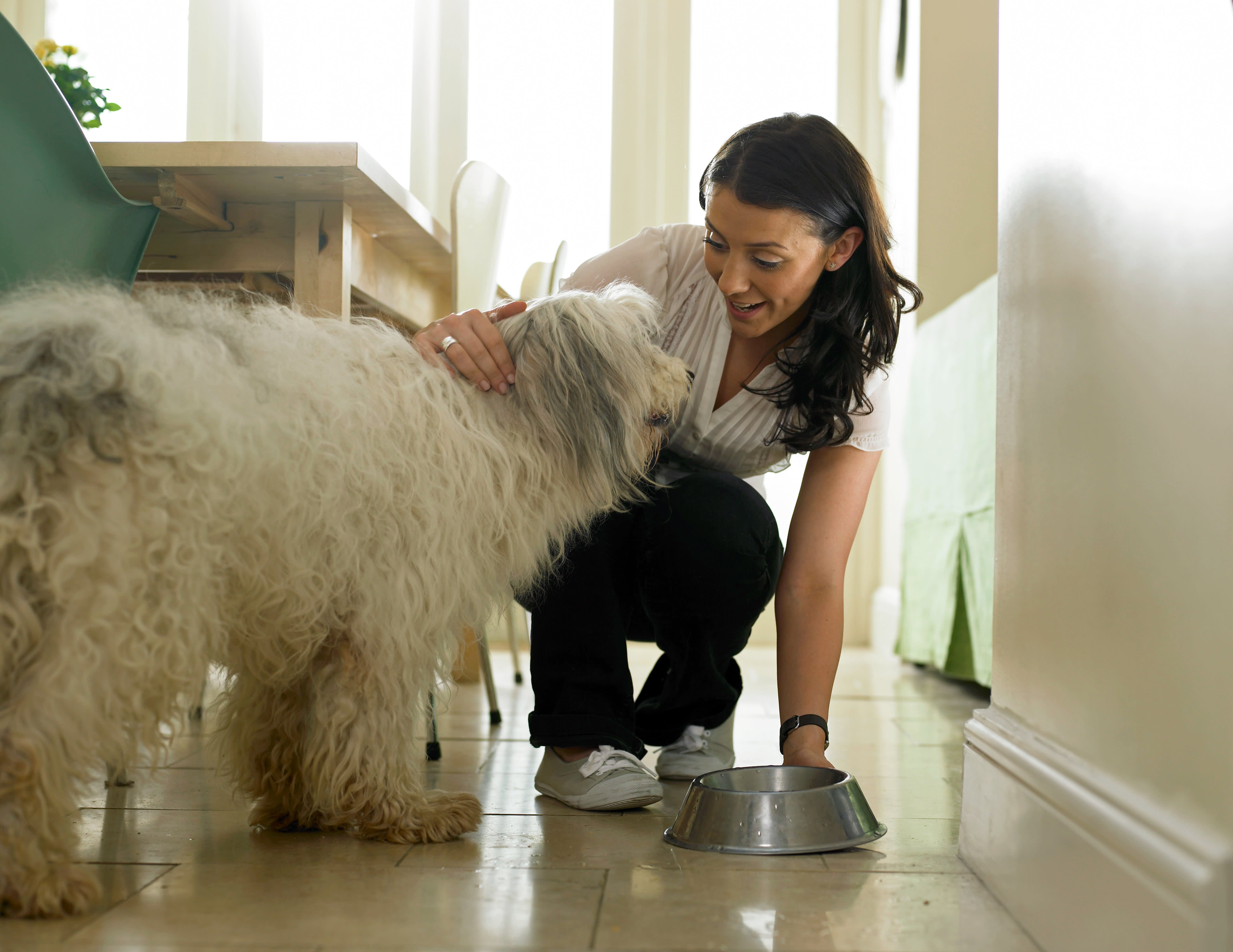 Op-Ed: In Battle With Activist Jana Partners, Freshpet Unleashes the Dogs of War - Vimarsana News