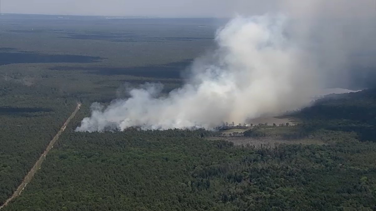 Safety tips on how to prevent wildfires – NBC New York