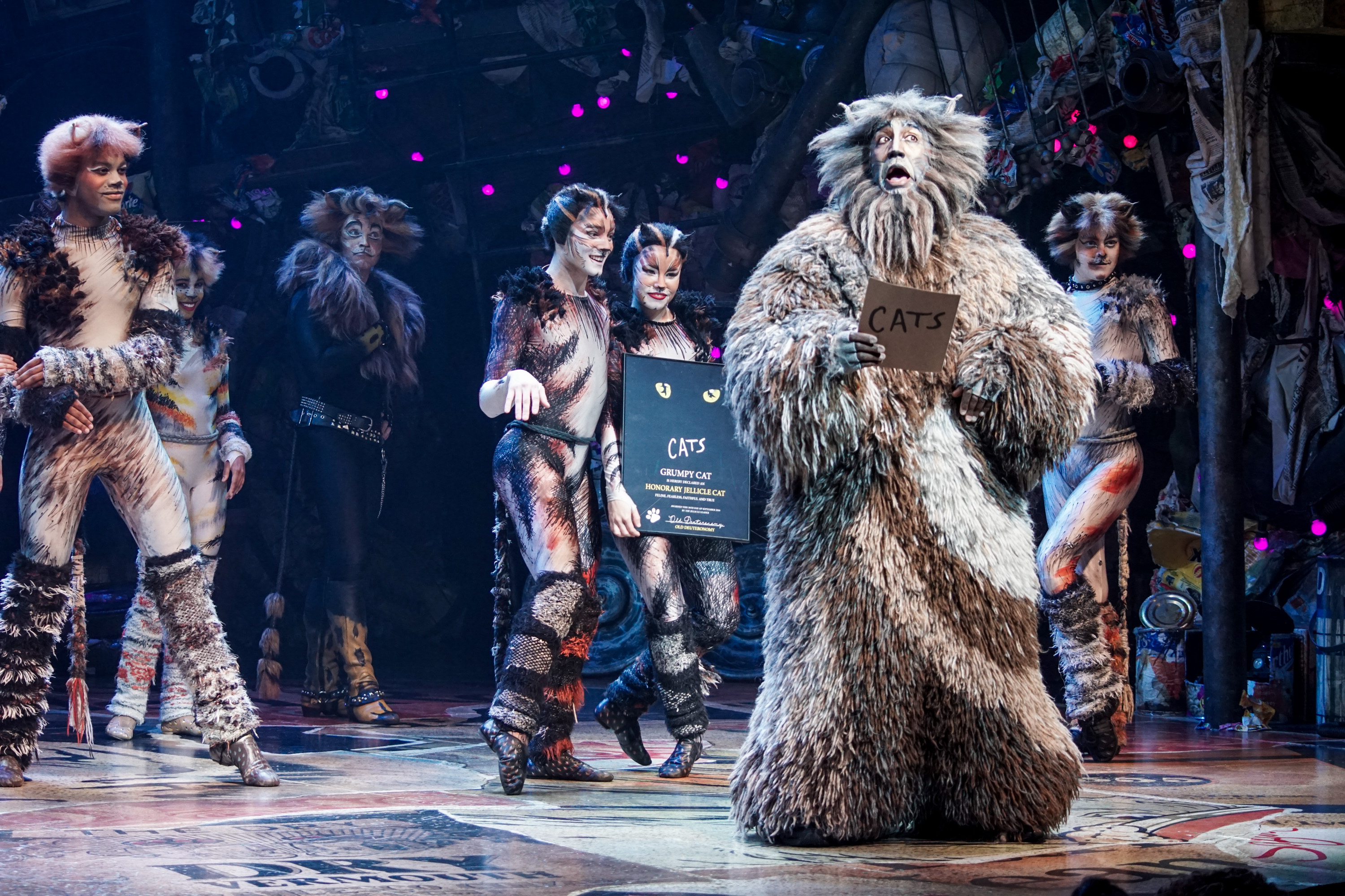 Cats' is back! Reimagined musical set in Harlem's drag Ball Culture to  debut next summer – NBC New York