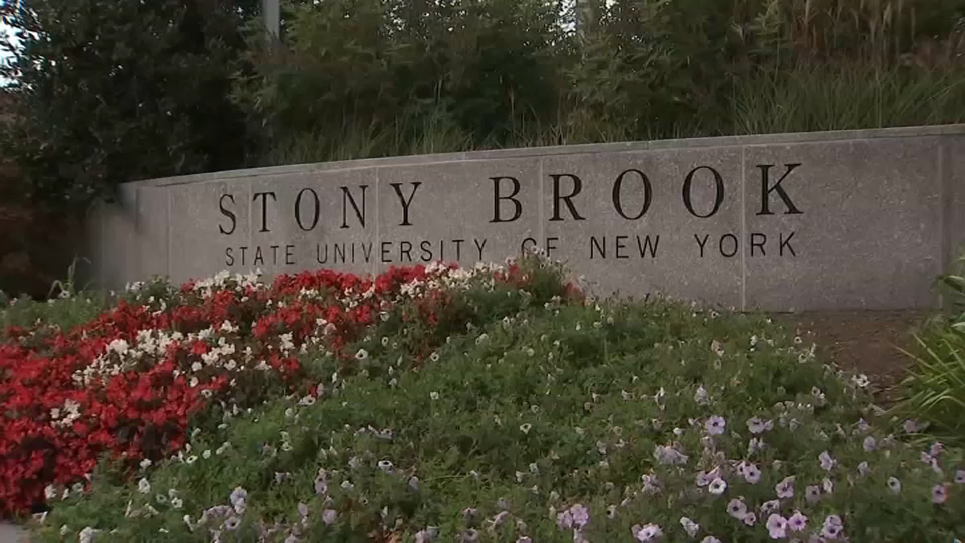 Stony Brook University to Receive 500 Million Donation From Former Professor