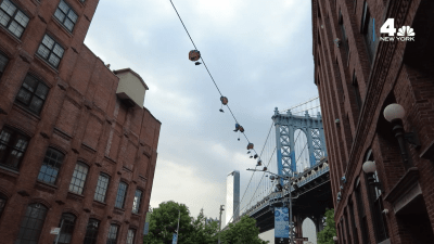 Dumbo schools boost funds thanks to this storybook-inspired event