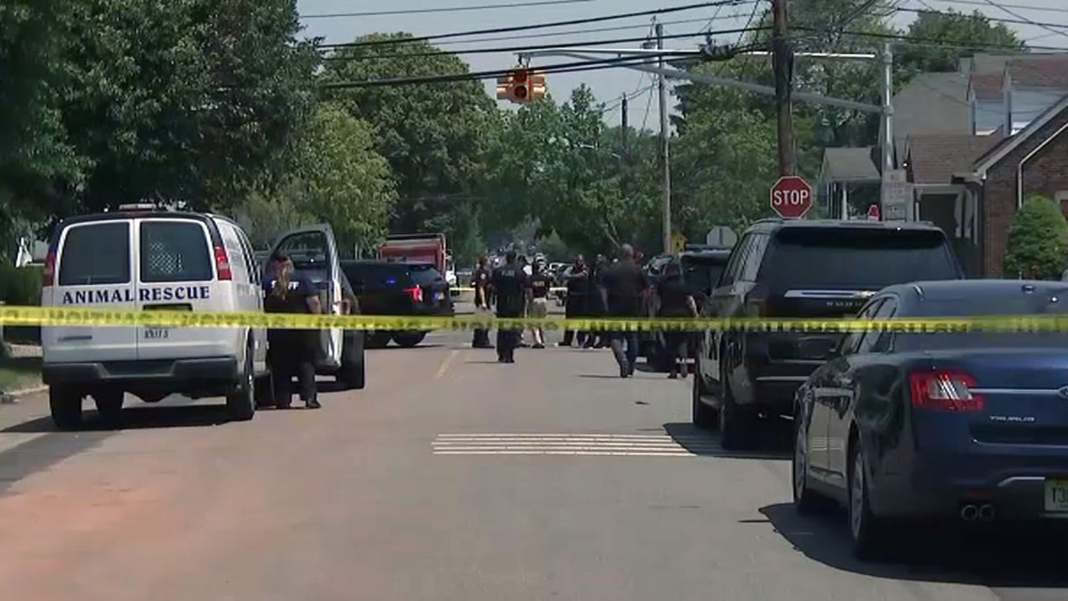 Linden Police Officers Shoot Dog on Dewitt Street in New Jersey NBC