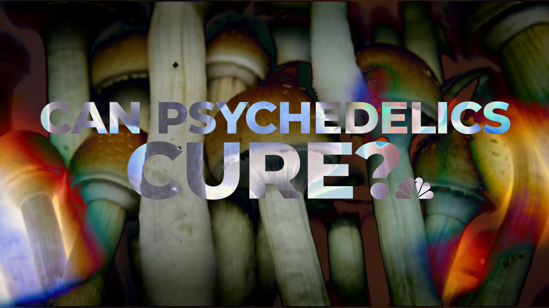 Can Psychedelics Cure? This New Yorker Says ‘yes’ – And Is Taking On ...