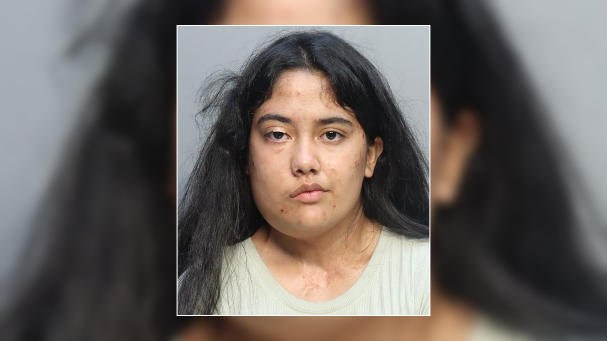 Miami mother tried to hire hitman on parody website to kill 3yearold