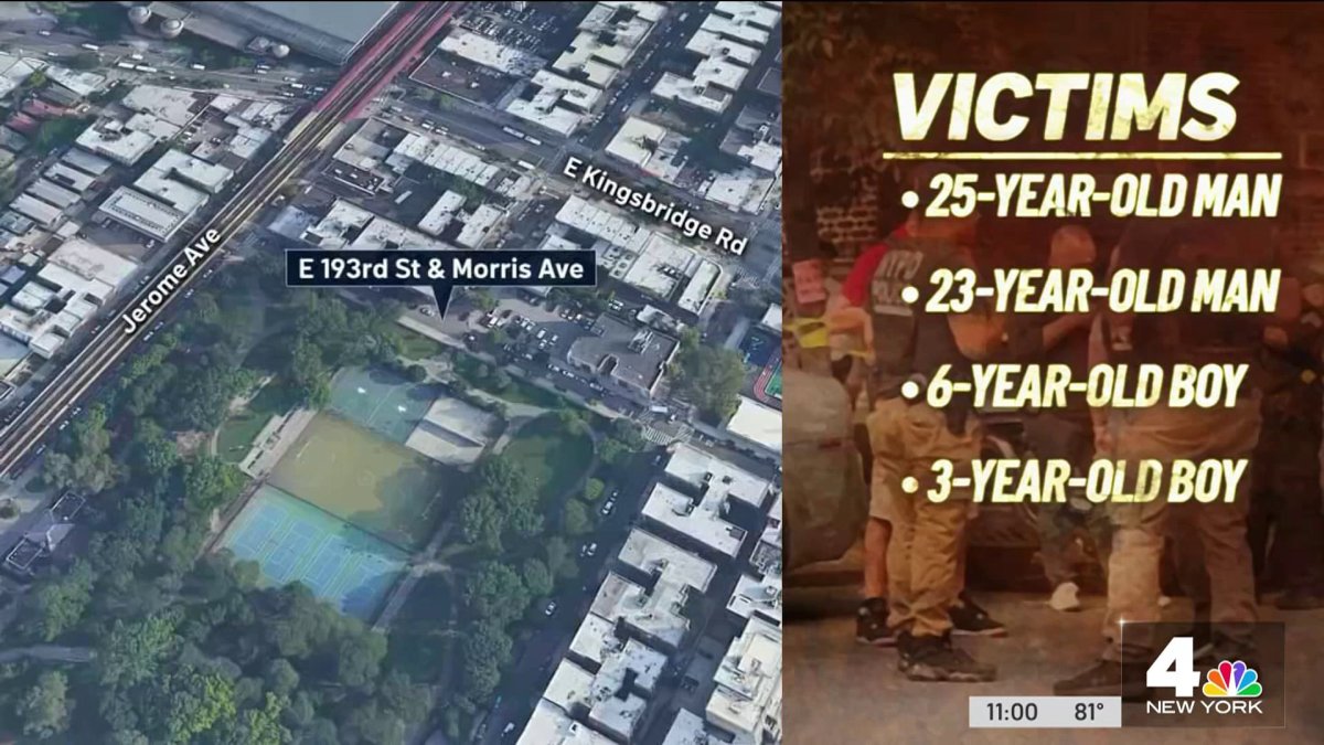 Two young brothers among 4 shot in Bronx park gunfire – NBC New York