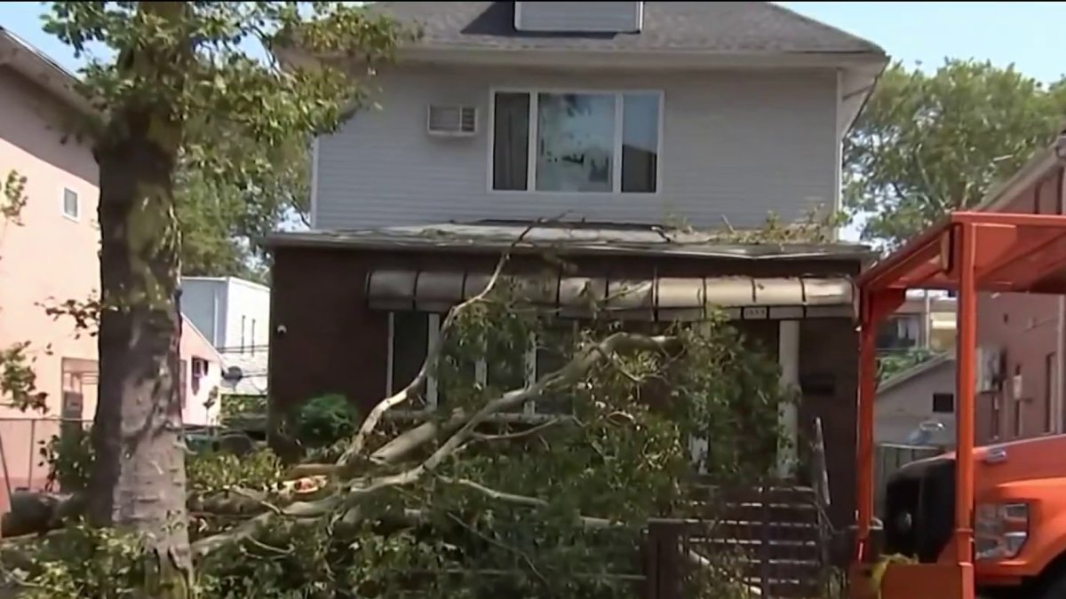 Storms leave trail of destruction Brooklyn street – NBC New York