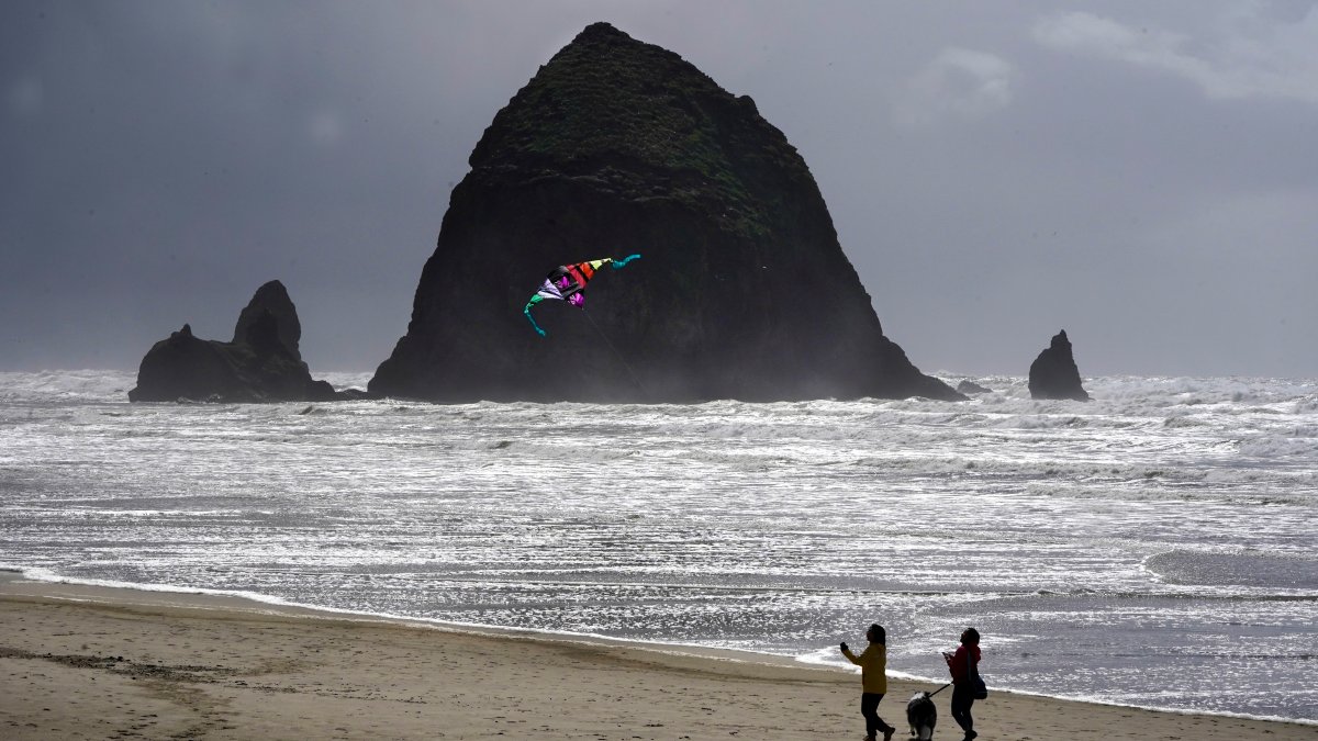 Oregon's Cannon Beach reopens after cougar sighting – NBC New York - Vimarsana News