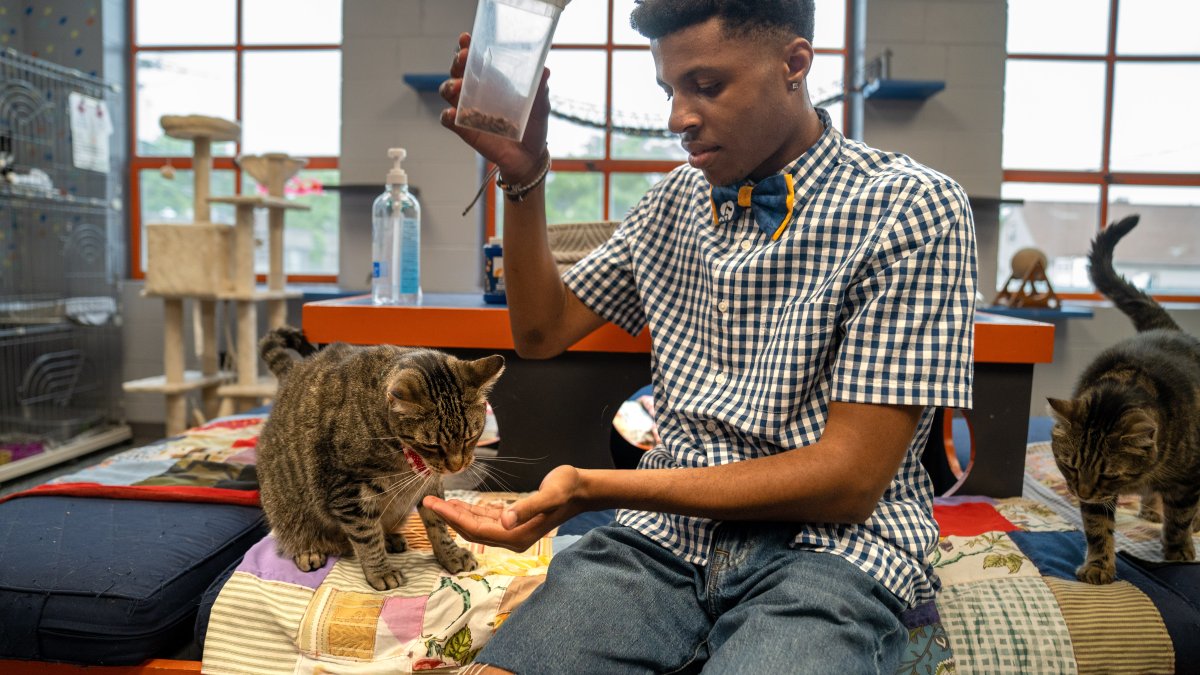 Teen's mission is to save shelter animals one bow tie at a time – NBC New York - Vimarsana News