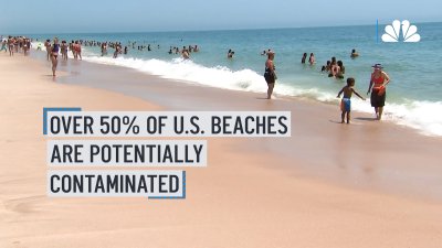 Over half of U.S. beaches are potentially unsafe due to poop contamination, new report finds