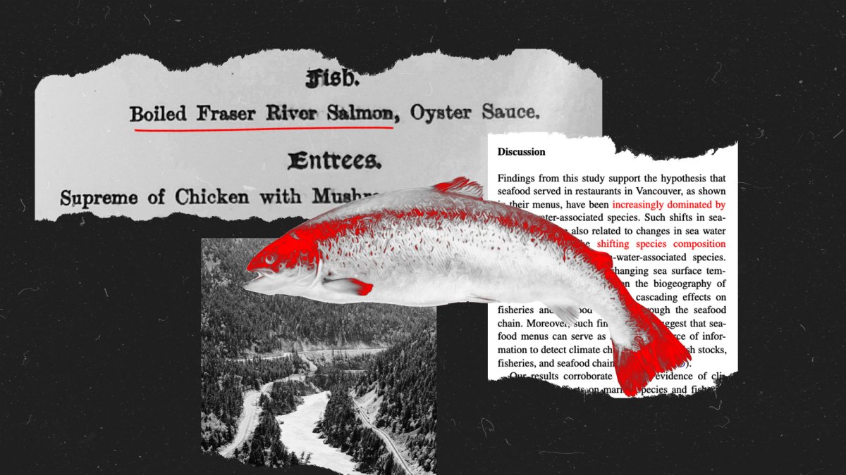 How warming temperatures change seafood dishes on menus NBC New York