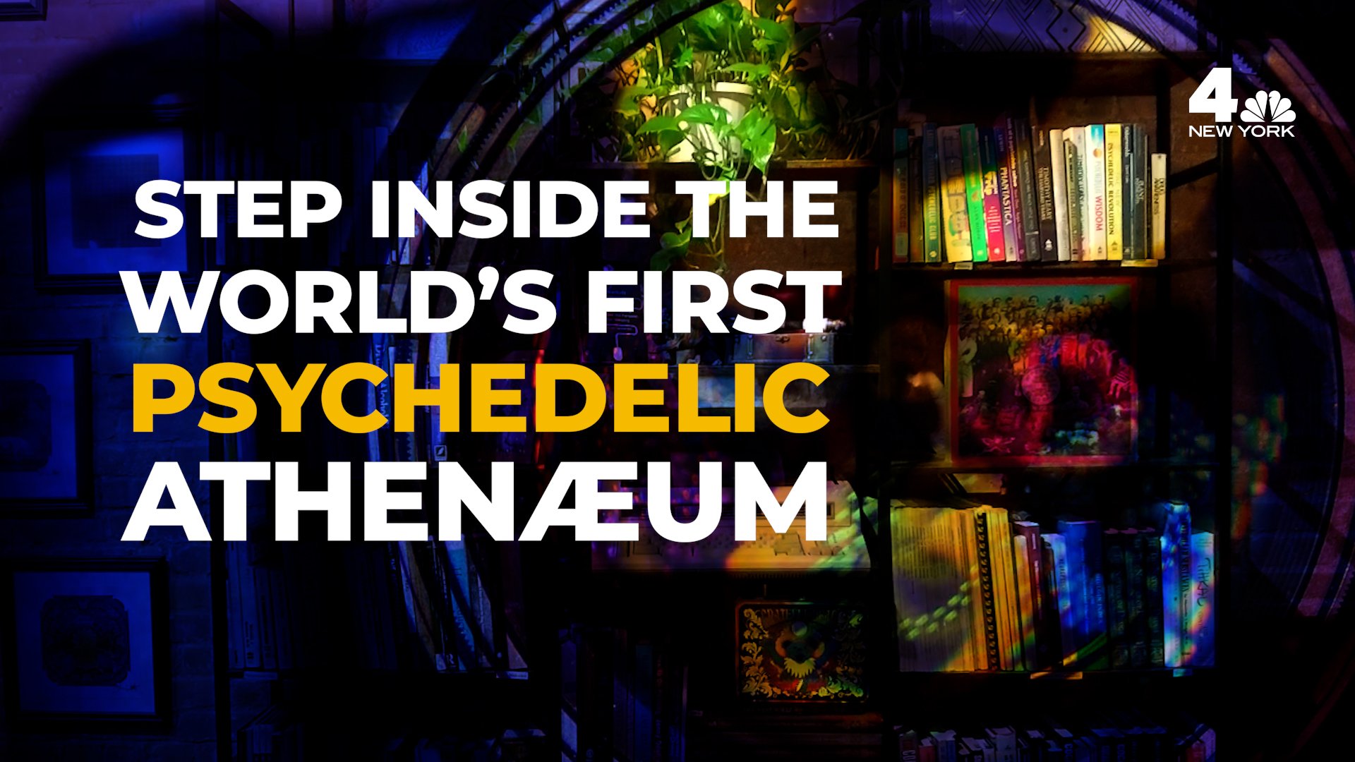 NYC Psychedelic Athenæum: The World's First Community Space to Talk All Hallucinigen, Psychoactive – NBC New York - Vimarsana News