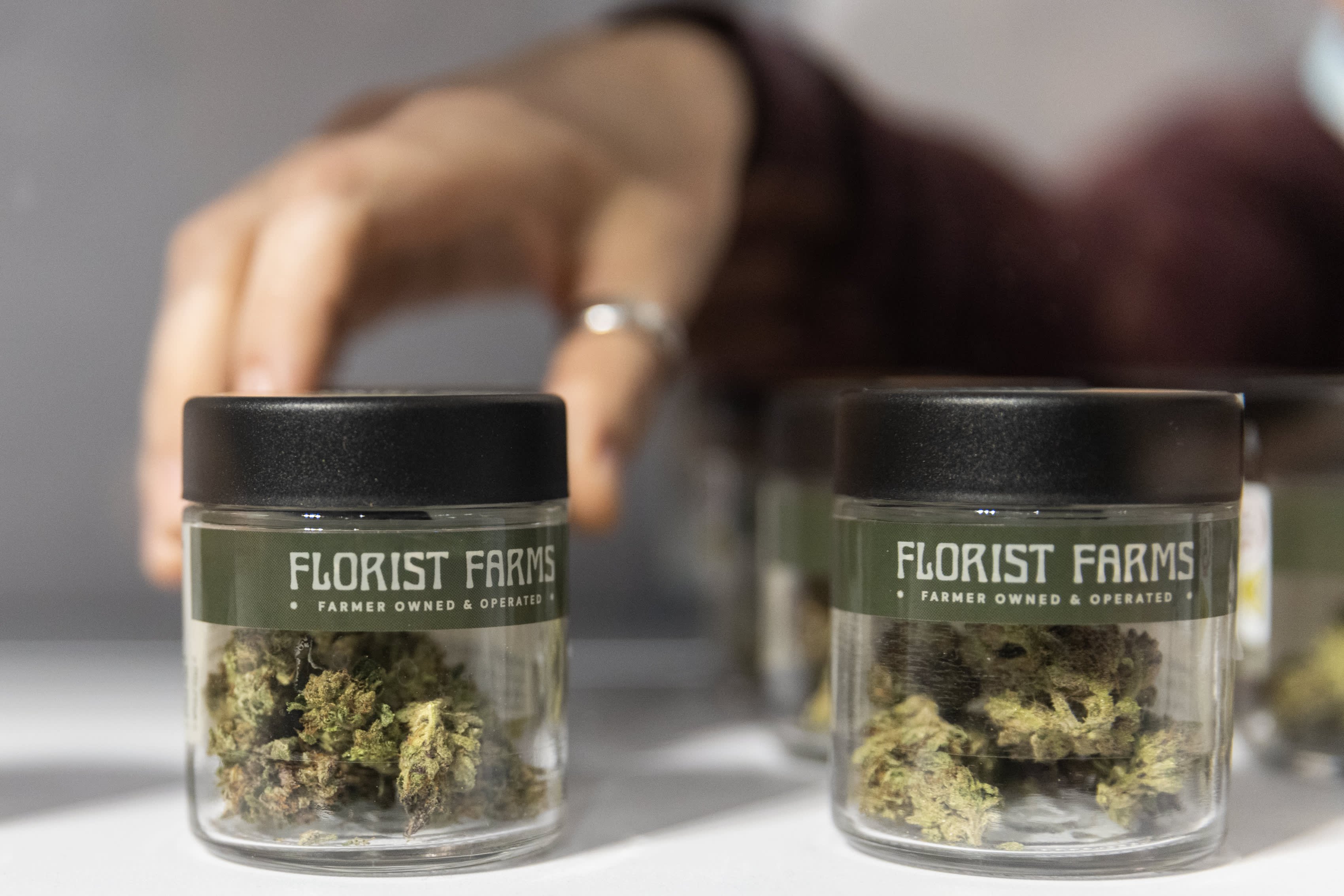 U.S. health officials want to loosen marijuana restrictions. Here's what it means - Vimarsana News