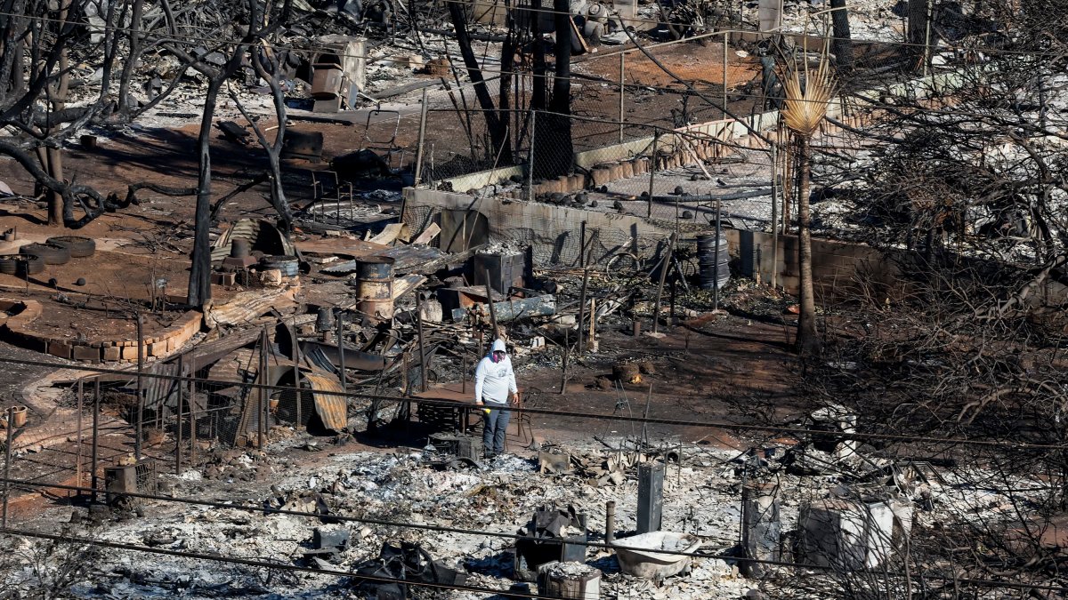 Hawaii wildfires leave at least 96 dead, more than $5 billion in damage in worst blaze in a century - Vimarsana News