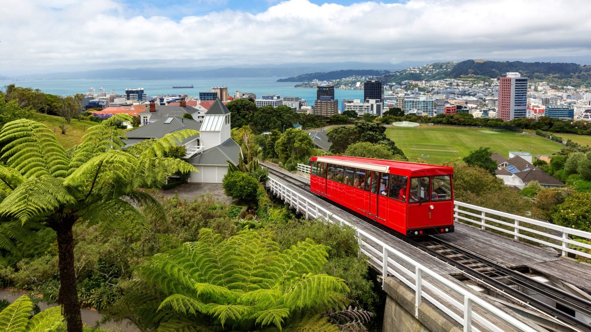 This New Zealand city is trying to recruit Americans—what it's actually like to move there - Vimarsana News