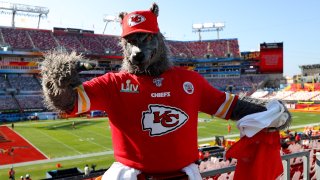 A fan in a werewolf costume poses before Super Bowl LV between the Tampa Bay Buccaneers and the Kansas City Chiefs at Raymond James Stadium on Feb. 7, 2021 in Tampa, Fla.