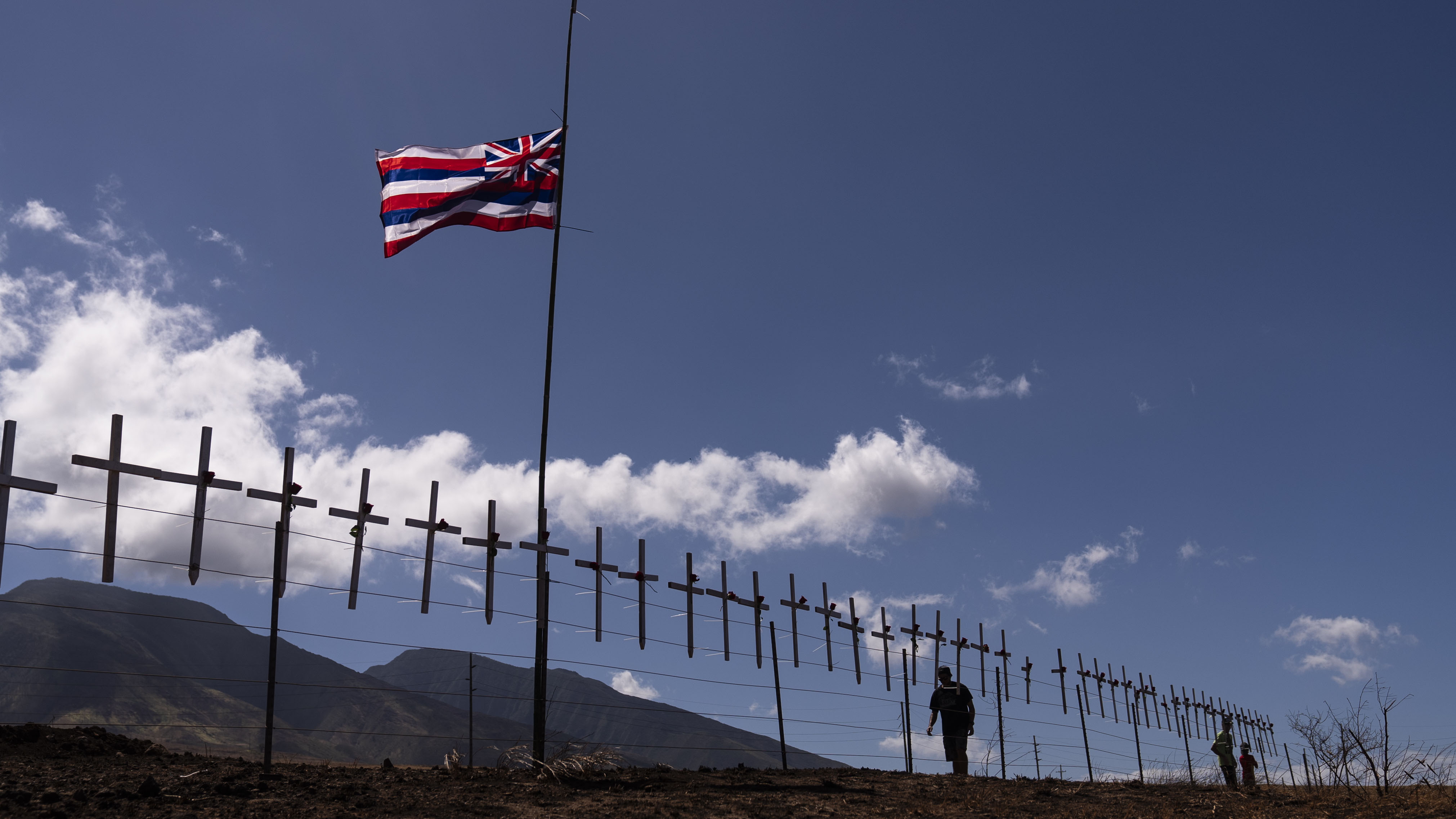 Hawaii Officials Urge Families Of Missing People To Give DNA – NBC New York