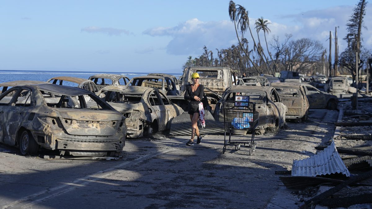 Maui wildfire victims receive help from Paradise fire survivors – NBC ...