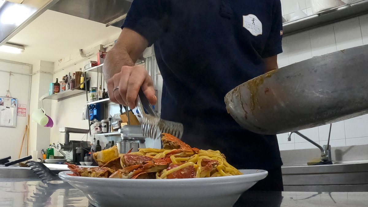 If you can't beat them, eat them: Italy declares war on invasive Atlantic blue crabs - Vimarsana News