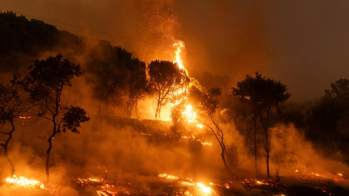 At least 18 bodies found in Greece as firefighters battle wildfires – NBC New York - Vimarsana News