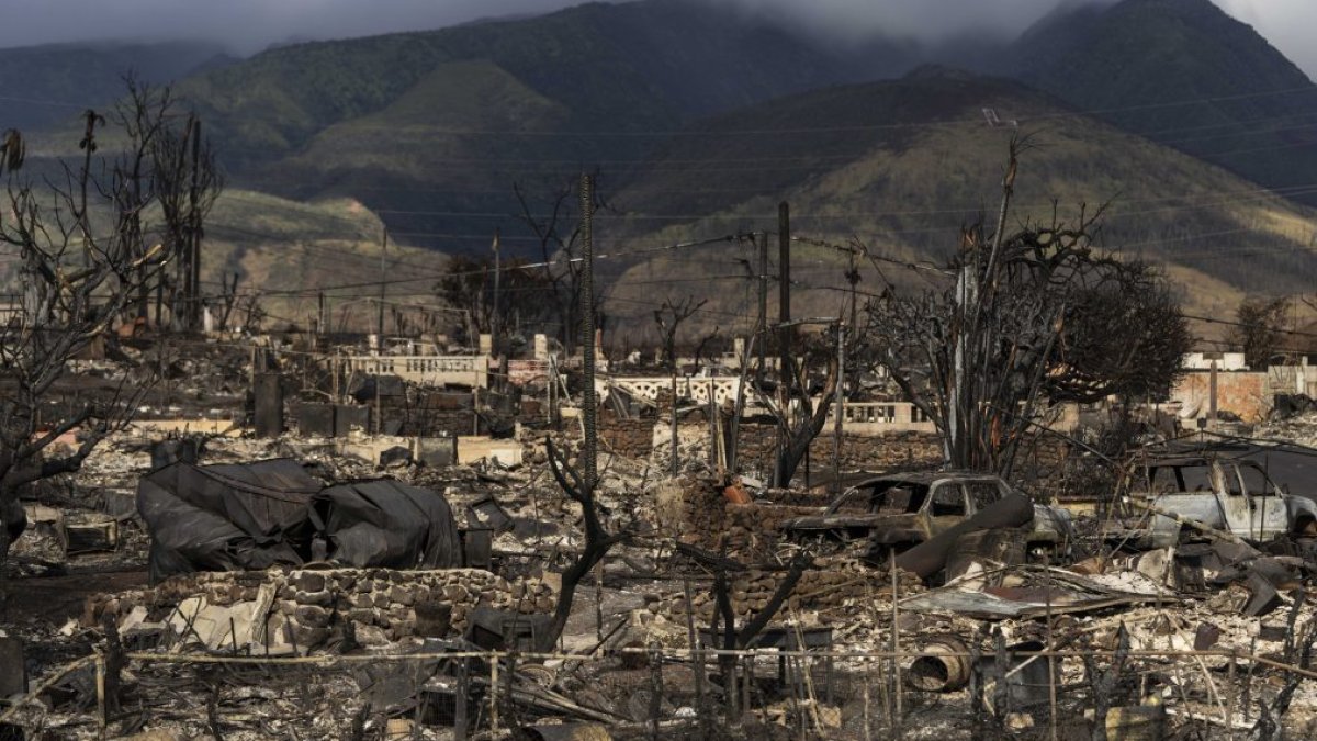 Maui wildfires: Some missing people found after Hawaii officials release list – NBC New York - Vimarsana News
