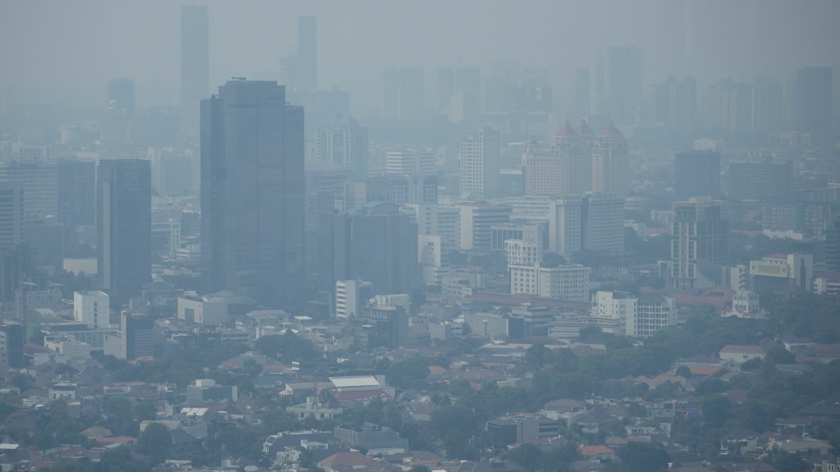 Here's what it would cost corporations to pay damages for pollution they produce – NBC New York - Vimarsana News
