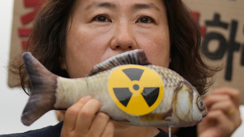 A member of environmental group holds a mock fish during a rally to demand the stop of the Japanese government’s decision to release treated radioactive water into the sea from the damaged Fukushima nuclear power plant, in Seoul, South Korea, Thursday, Aug. 24, 2023. (AP Photo/Lee Jin-man)