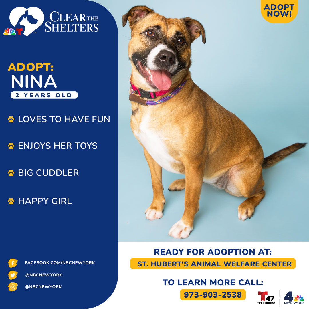 Meet Clear The Shelters Adoptable Pets