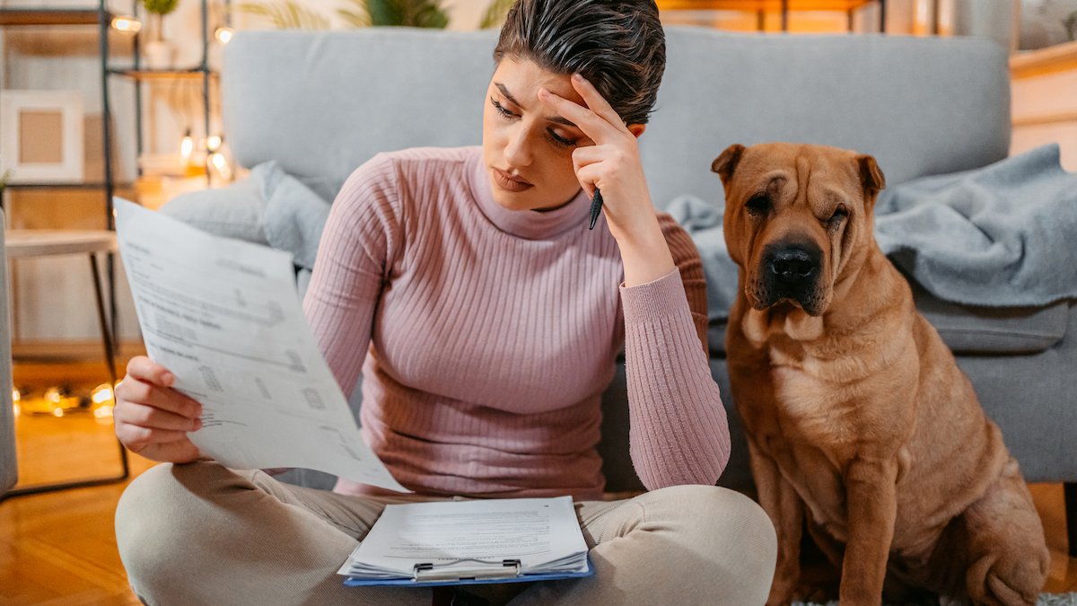 As pet insurance becomes more popular, pet owners fret about rising prices, denied claims – NBC New York - Vimarsana News