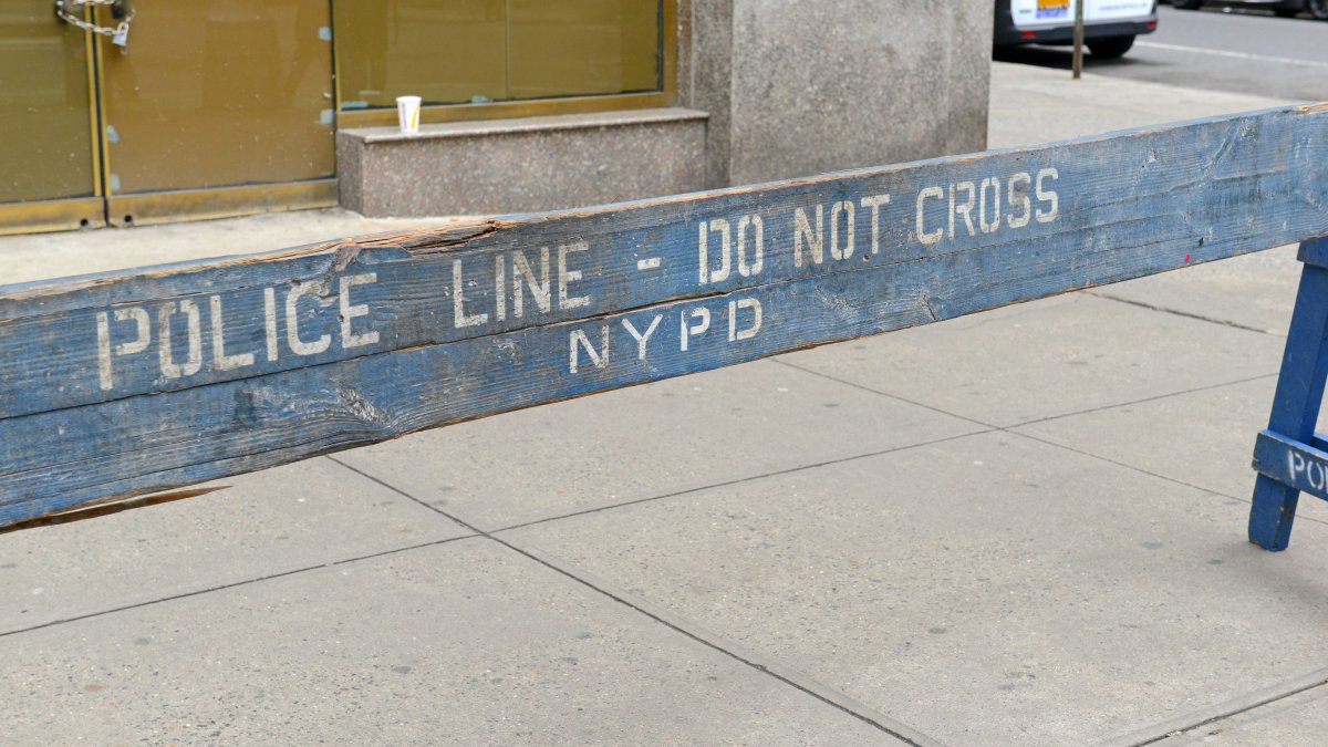 Man found dead after Brooklyn concert in 2nd disappearance in weeks ...