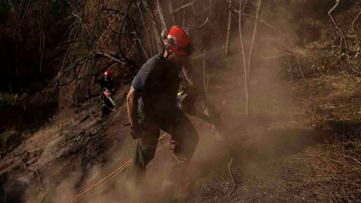 Maui wildfire survivors face power cuts and poor cell service amid ongoing search efforts – NBC New York - Vimarsana News